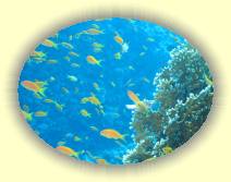 IMG_2007_05_27 18_16_49 * 2272 x 1704 * (508KB)